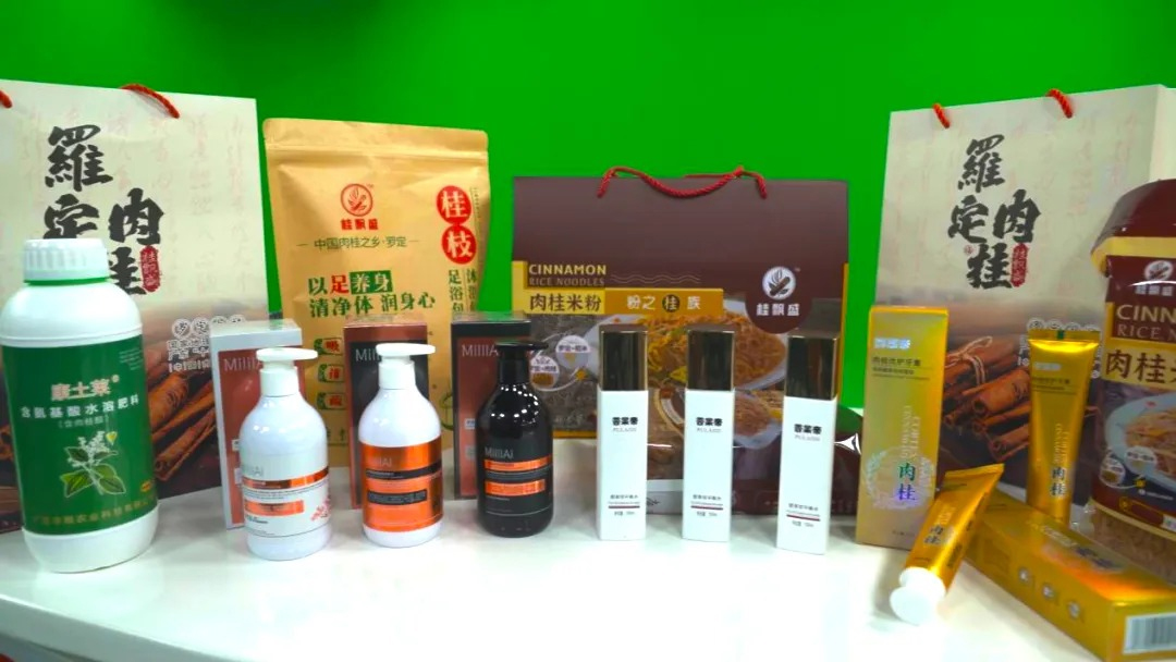 镇能量丨罗定市榃滨镇肉桂产业年产值破6.35亿元