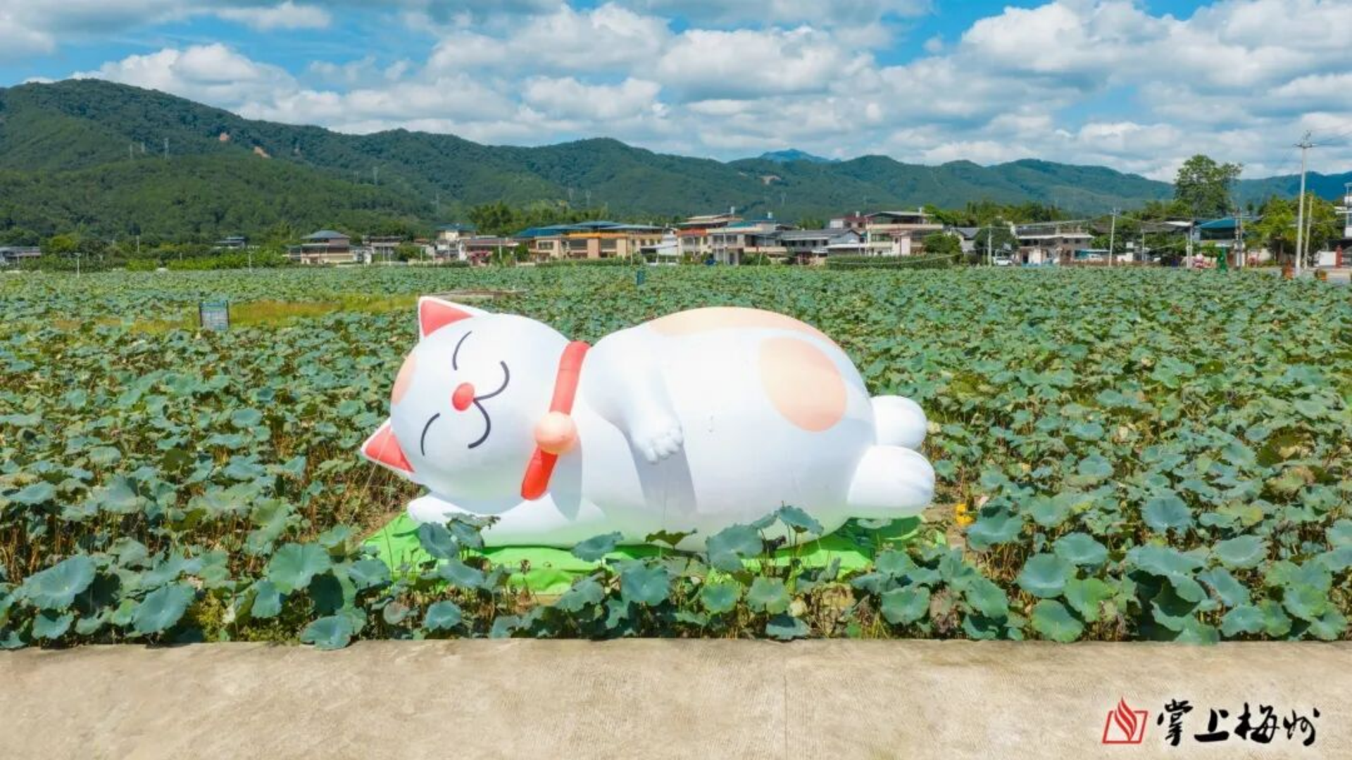 27 artists gather for Guangdong Jiaoling Art Field in Meizhou