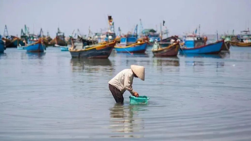 法网柔情：广州海事法院成功和解渔业行政处罚纠纷