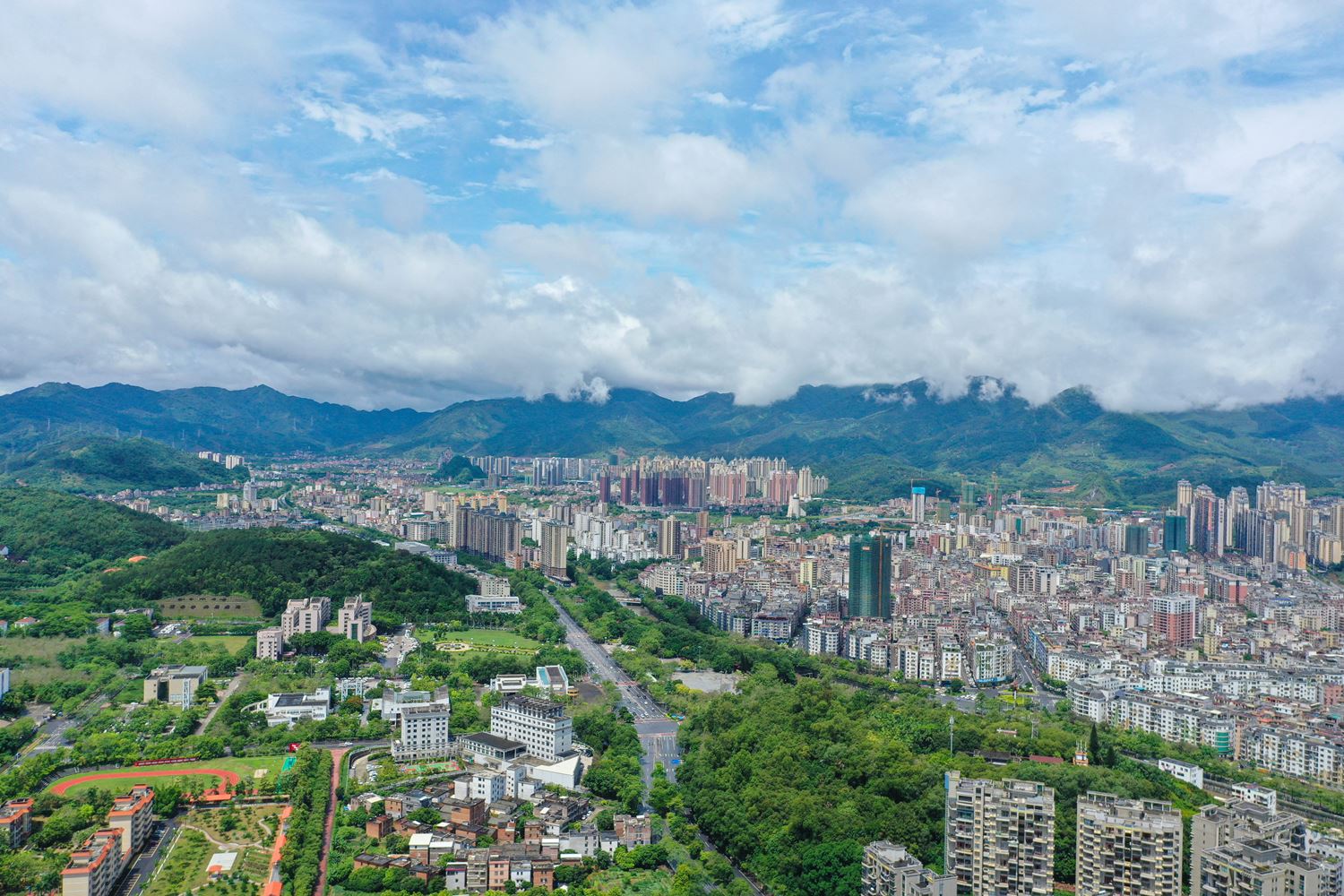 云城区云城街道织就防护虫媒传染病“安全网”