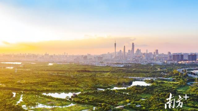 绿美广东新名片——广东两处湿地升级为国际重要湿地