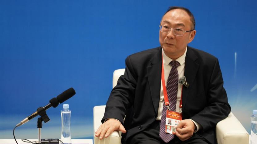 Japanese PM's erroneous remarks on China violate international order established after WWII: Chinese scholar