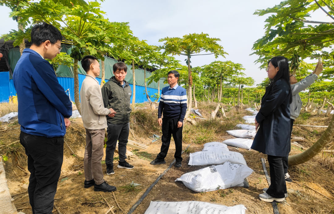 罗定市华石镇：科技赋能农业 培训助力增收