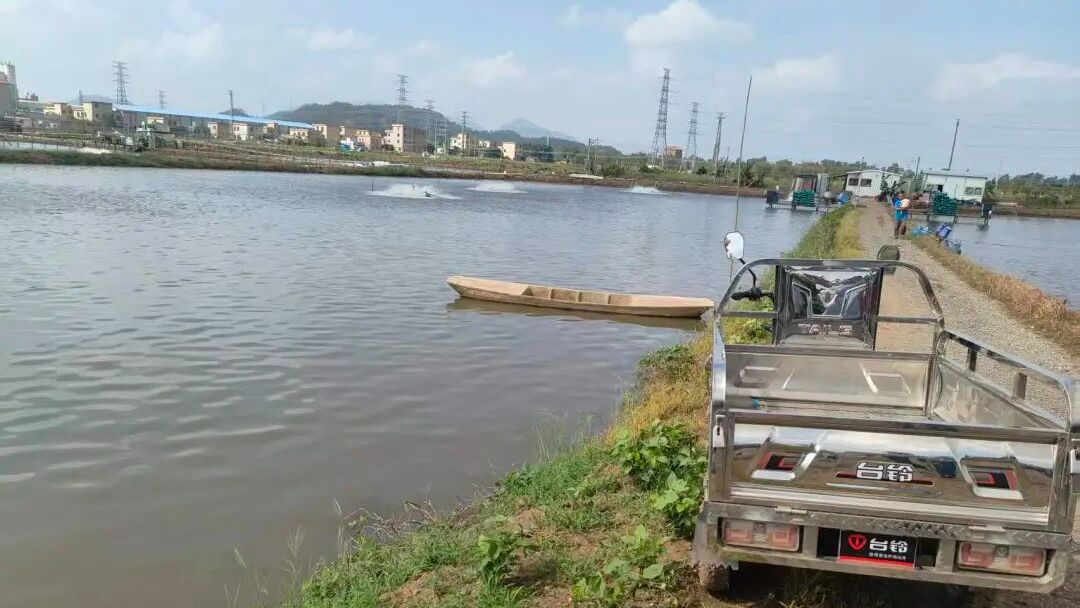 生死关头，60岁的他纵身一跃！ | 粤义粤勇