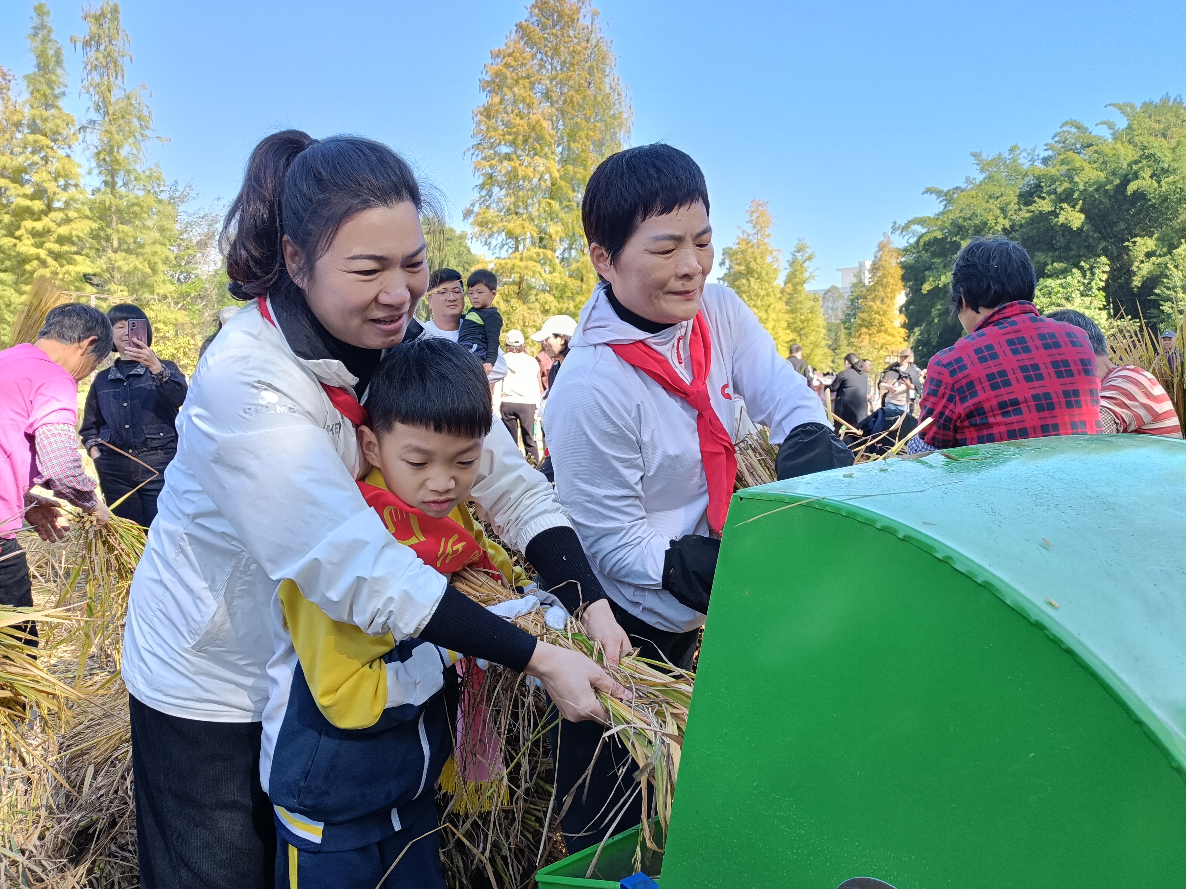 云浮少先队员开展农耕文化体验活动