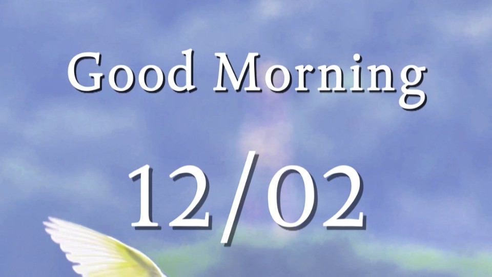 Birds skim treetops, serenity floats over lake