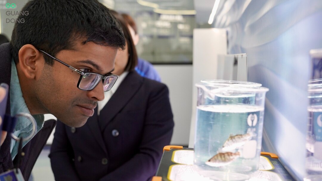 Unseen rural Guangdong inspires global delegates during Understanding China tour