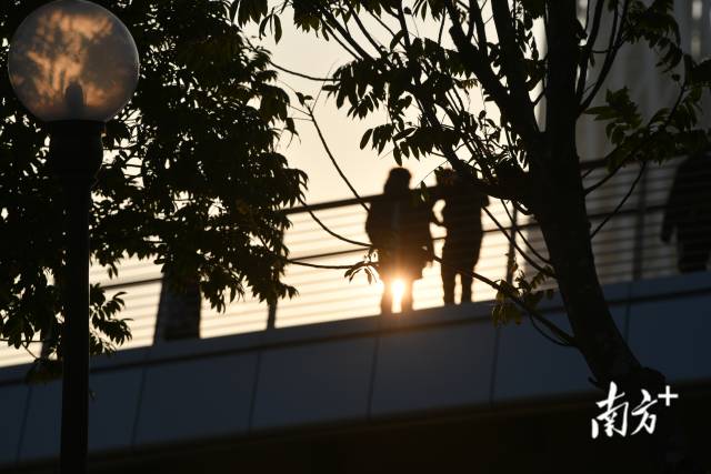 南方+ 吴伟洪 拍摄