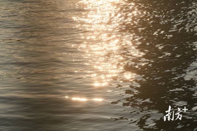 南方+ 吴伟洪 拍摄