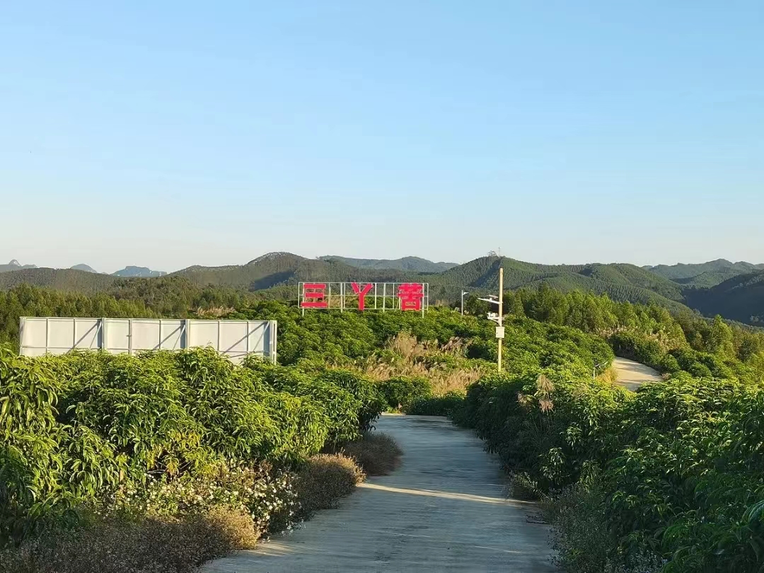 智库观察丨围底镇是用什么撑起经济发展的“脊梁”？