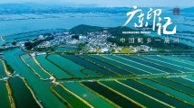 【广东印记】晨洲村 【广东印记】晨洲村