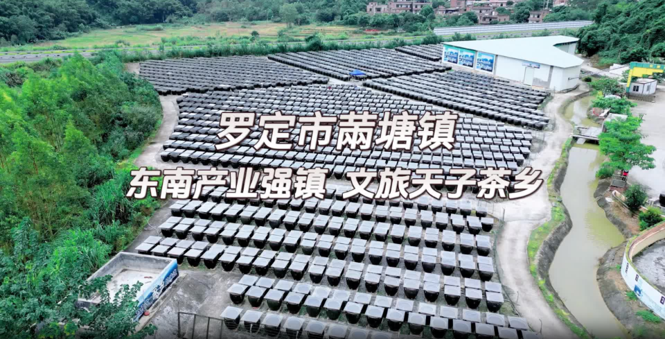 智库观察丨“一瓶酱油”成就“三产融合”，䓣塘镇有着怎样的发展“密码”