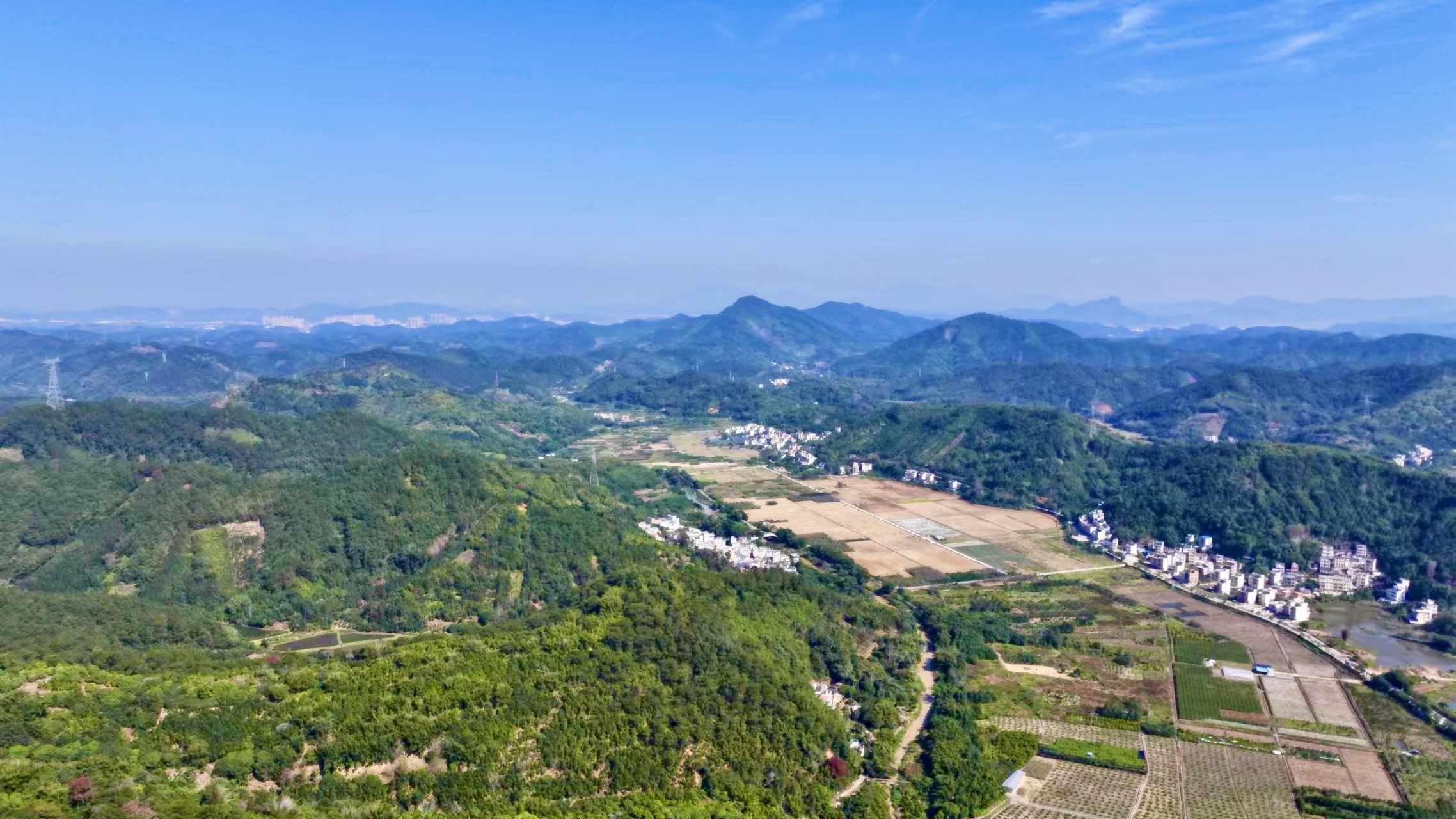 智库观察丨南方小土豆勇闯哈尔滨＆桂圩乡村旅游文化周