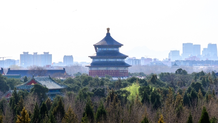 北京花粉高峰期来了，@过敏星人 准备好了吗？