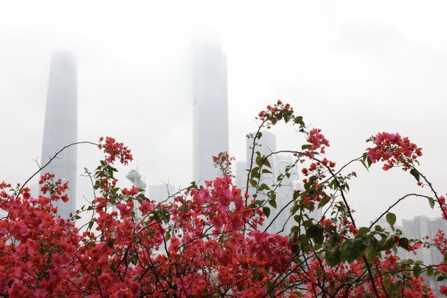 Moderate cold air to end damp weather from Tuesday evening