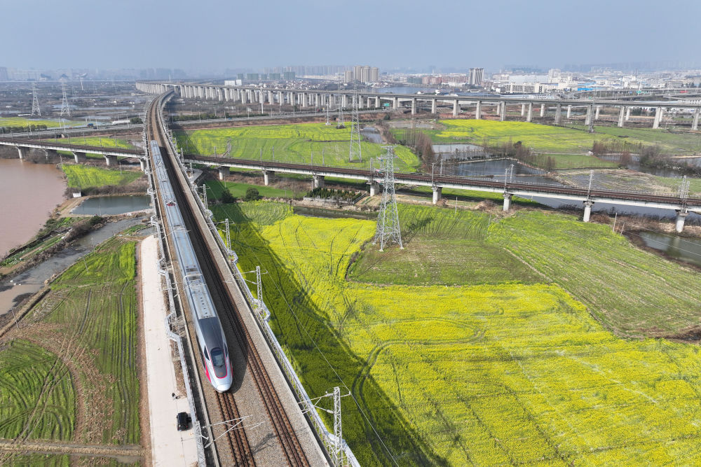 　　2024年3月2日，一辆高铁列车从江西省南昌市南昌县一处油菜花田旁驶过（无人机照片）。新华社记者 金良快 摄