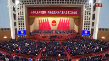 十四届全国人大二次会议开幕 习近平等党和国家领导人出席开幕会 十四届全国人大二次会议开幕 习近平等党和国家领导人出席开幕会