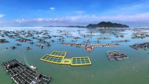 南方时论:乘风破浪加快迈向海洋强省 南方时论:乘风破浪加快迈向海洋强省