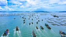 向海图强,全面推进海洋强省建设 向海图强,全面推进海洋强省建设