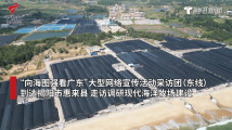 强信心 稳预期 促发展丨依托海域天然优势,惠来发展现代海洋牧场底气足 强信心 稳预期 促发展丨依托海域天然优势,惠来发展现代海洋牧场底气足