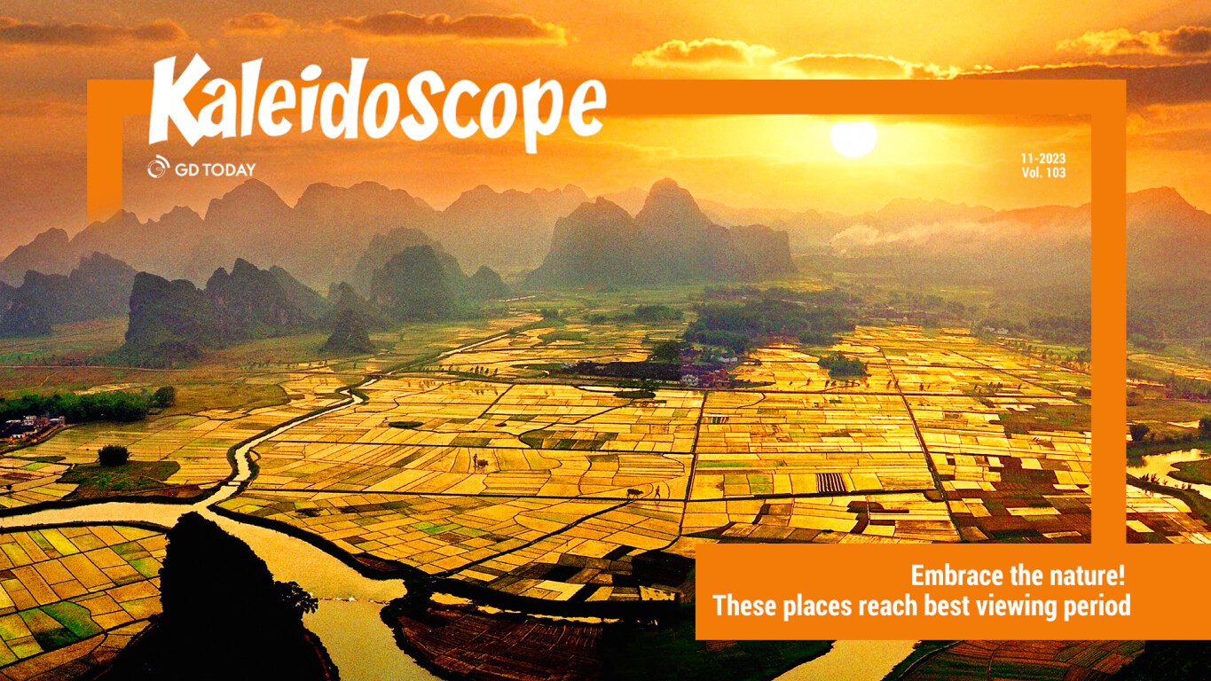 Embrace the nature! These places reach best viewing period