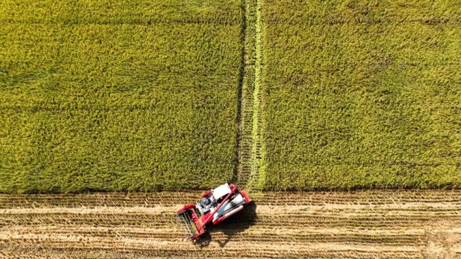 确保中国人的饭碗牢牢端在自己手中 今年这么干→