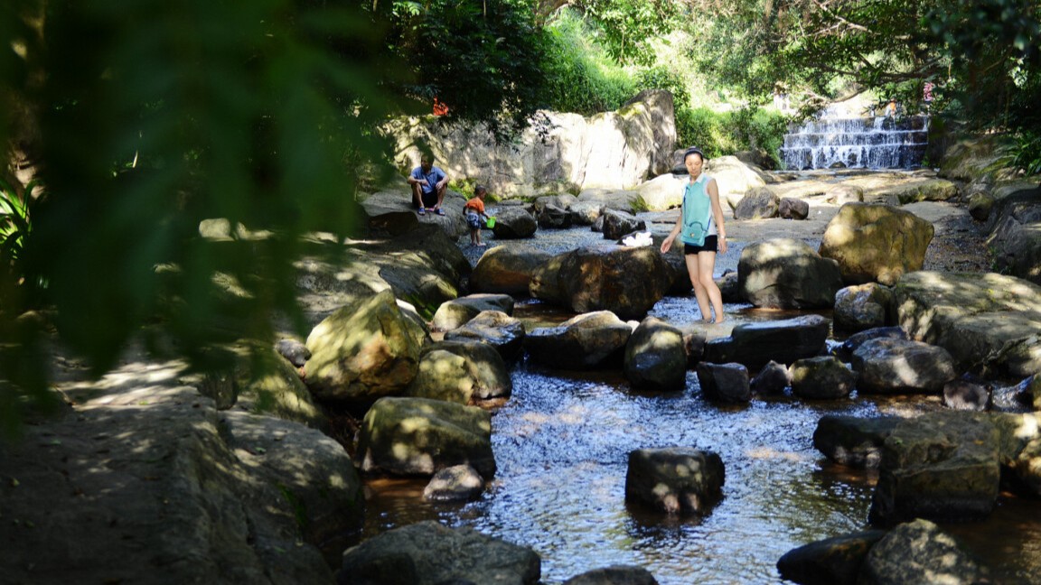 How to keep yourself away from dengue fever?