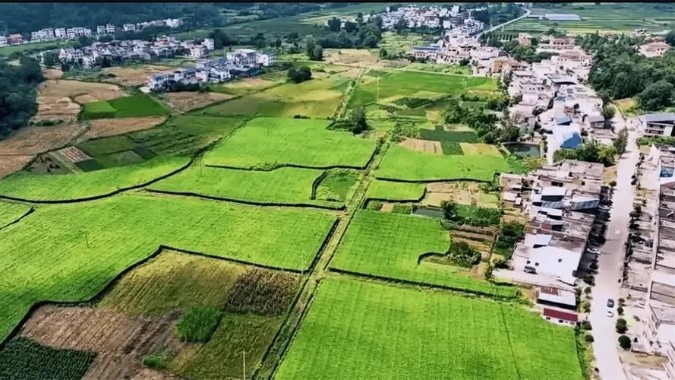 廣東各地市加力提速推進典型鎮(zhèn)村打造