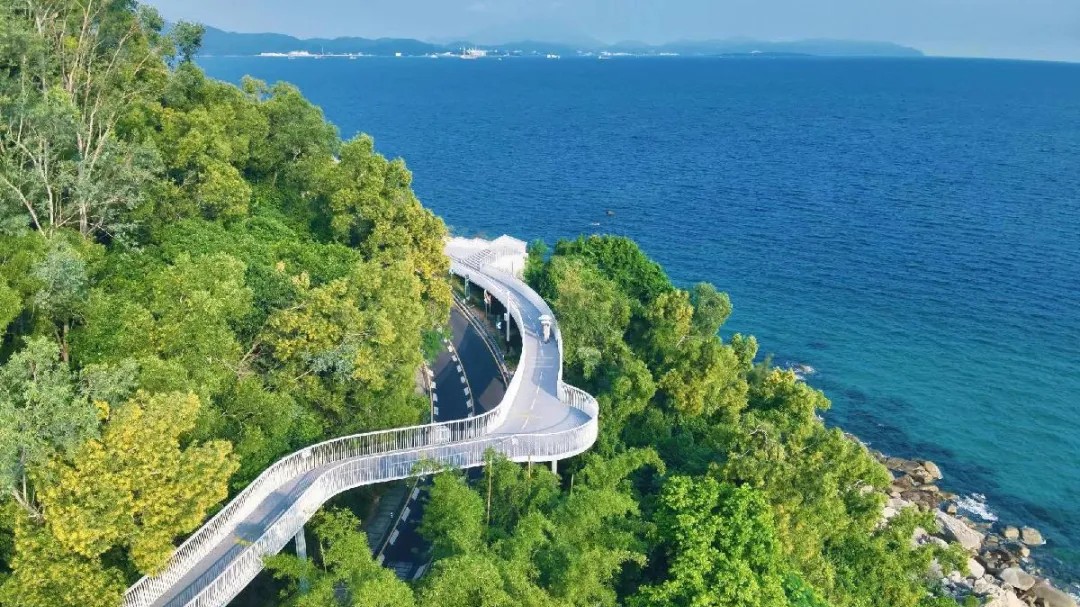 Holiday Hits | 2 new coastal cycling routes open in Shenzhen