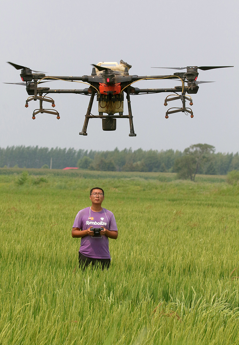 2021年7月27日，哈尔滨呼兰区腰堡村的一片稻田间，忠萍农作物种植专业合作社的“飞手”正在操纵无人机对水稻喷施叶面肥。