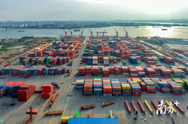 顺德新港，集装箱被整齐地堆放，龙门吊、堆高机、拖车等正在作业。