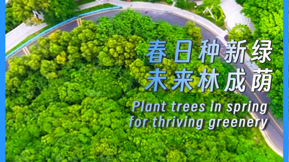 Plant trees in spring for thriving greenery