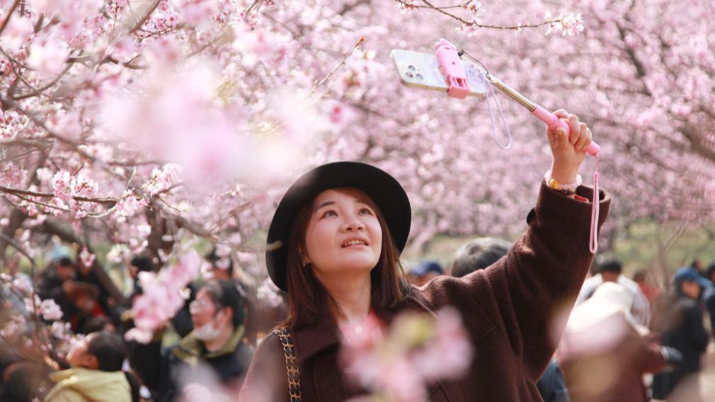 En images : les Chinois profitent du printemps à travers le pays