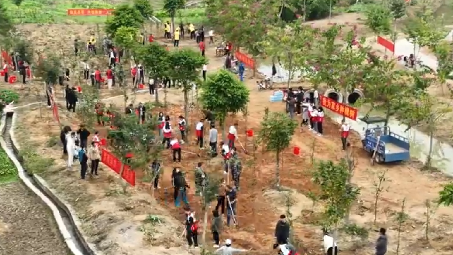 Gaoyao's green horizon | The 47th China Tree Planting Day