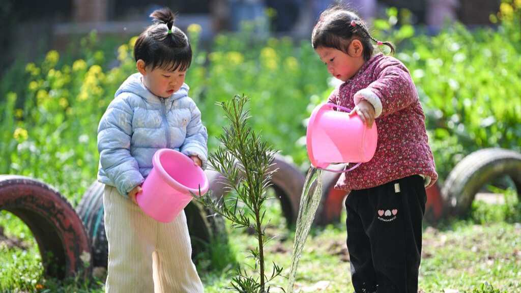 Le Chine célèbre la Journée nationale de l'arbre