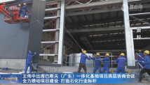 王伟中出席巴斯夫(广东)一体化基地项目高层协商会议 王伟中出席巴斯夫(广东)一体化基地项目高层协商会议