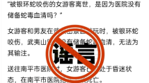 一女游客在武夷山被银环蛇咬伤致死?官方辟谣 一女游客在武夷山被银环蛇咬伤致死?官方辟谣