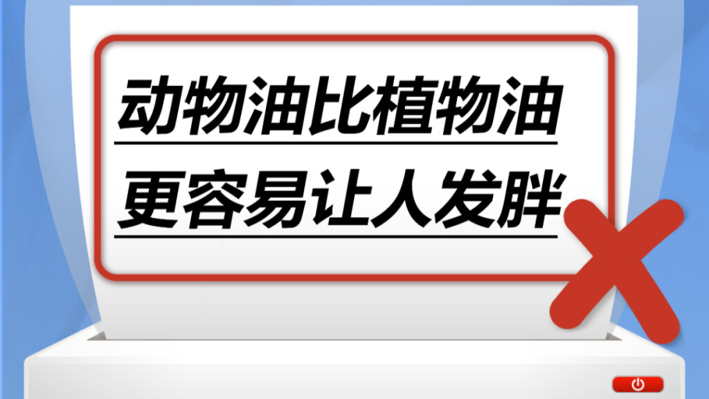 动物油比植物油更容易让人发胖……是真是假？｜谣言终结站