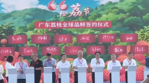 广东荔枝甜遍全球!“广东荔枝全球品鲜嘉年华”在广州举行 广东荔枝甜遍全球!“广东荔枝全球品鲜嘉年华”在广州举行