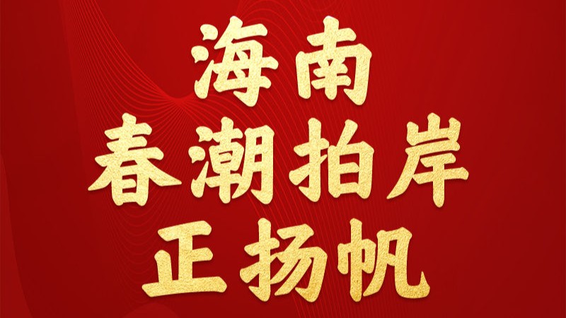 改革近镜头 | 海南，春潮拍岸正扬帆