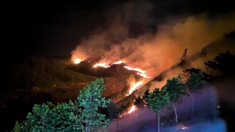 肇庆高要发生森林火灾，消防救援力量彻夜扑救