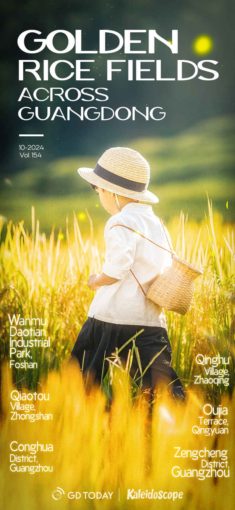 Discover autumn's golden rice fields across Guangdong