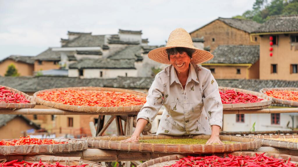 7th Chinese farmers' harvest festival celebrated across China