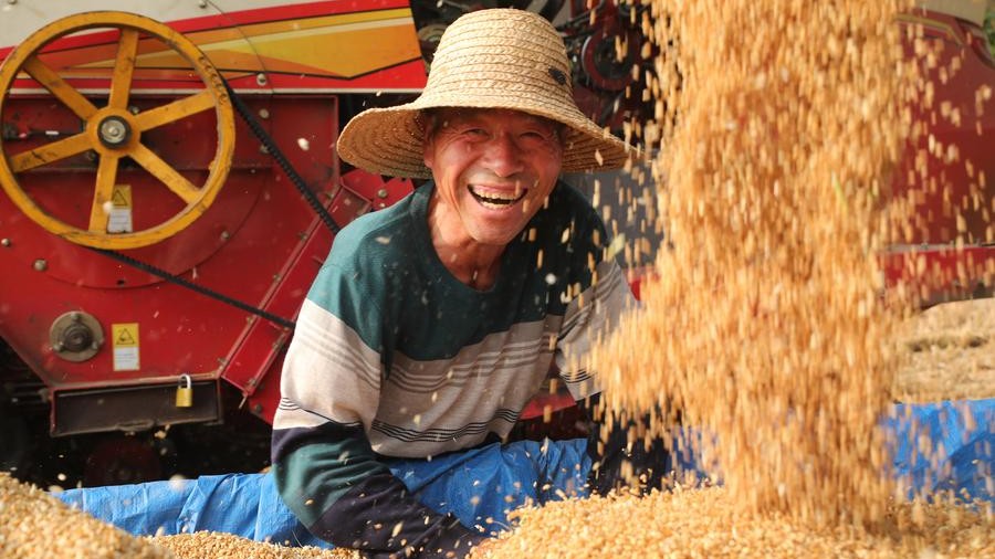 High tech propels bumper harvests in China's grain-producing provinces