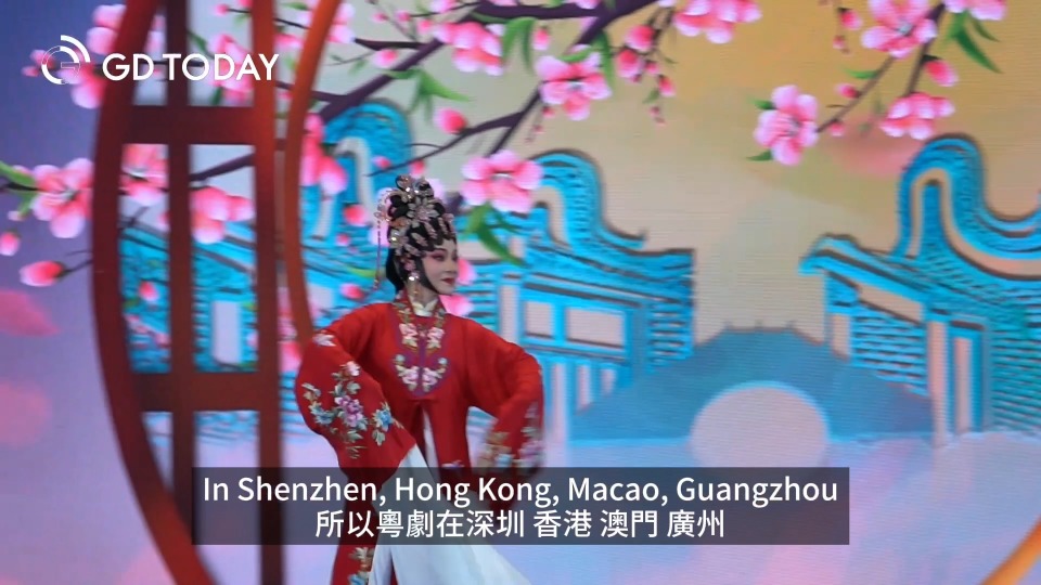 Cantonese Opera showcased at the GBA Sub-forum