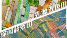 城市CP: “韶”华正好,“湛”翅高飞 城市CP: “韶”华正好,“湛”翅高飞