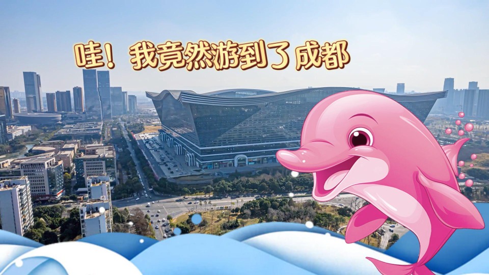 百万英才汇南粤丨中华白海豚邀请你，4月26日相约成都