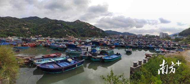 南方+ 董天健 拍摄