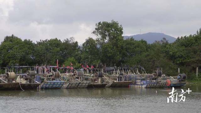 南方+ 董天健 拍摄