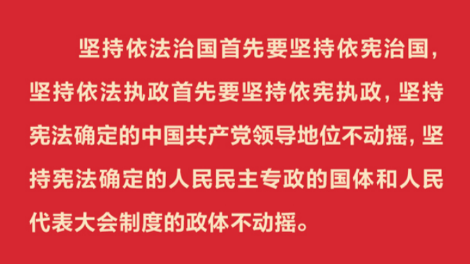 学习习近平法治思想｜坚持党对全面依法治国的领导